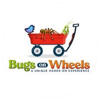 Backyard Bugs with Bugs on Wheels