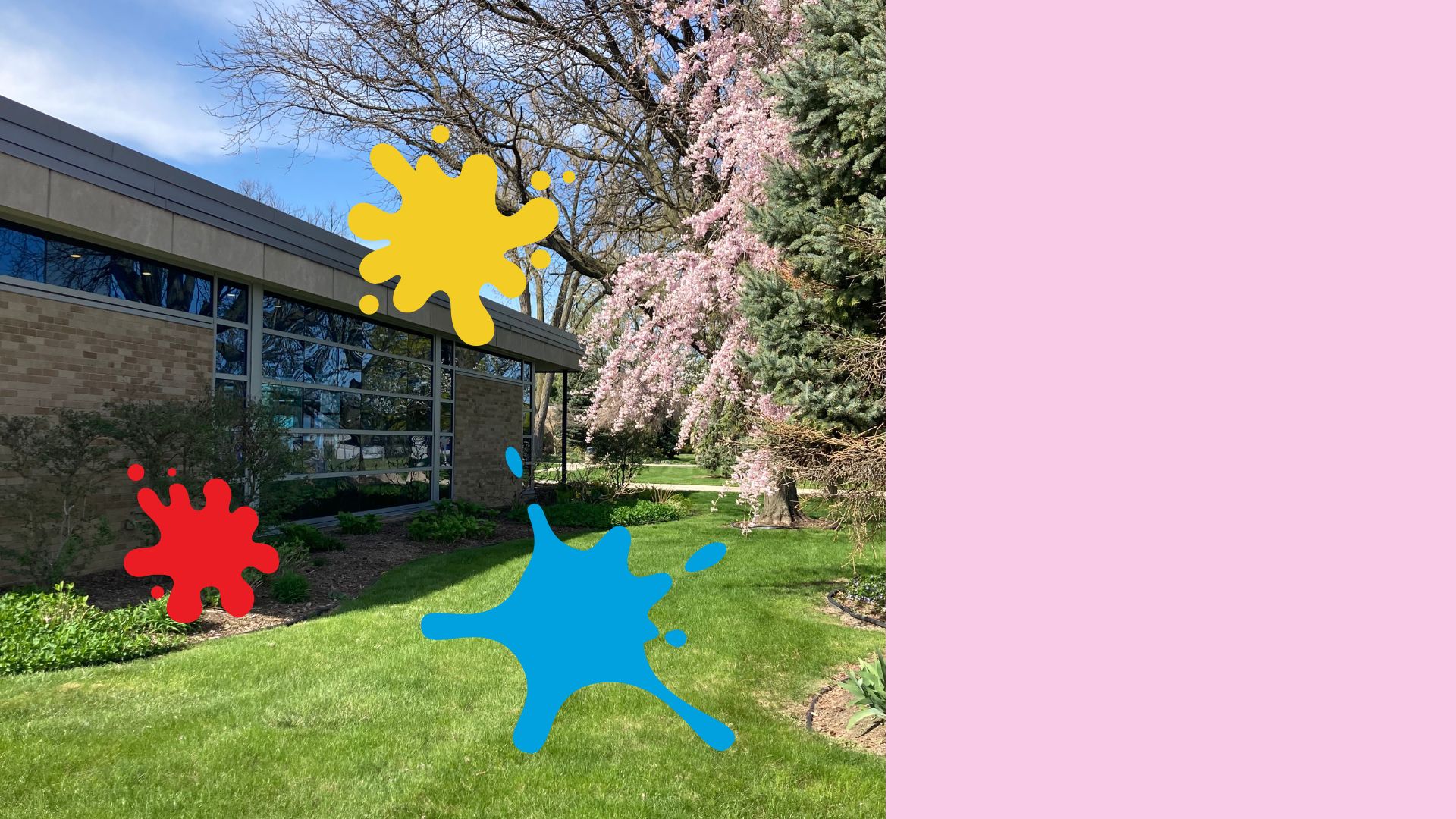 Color Our Windows